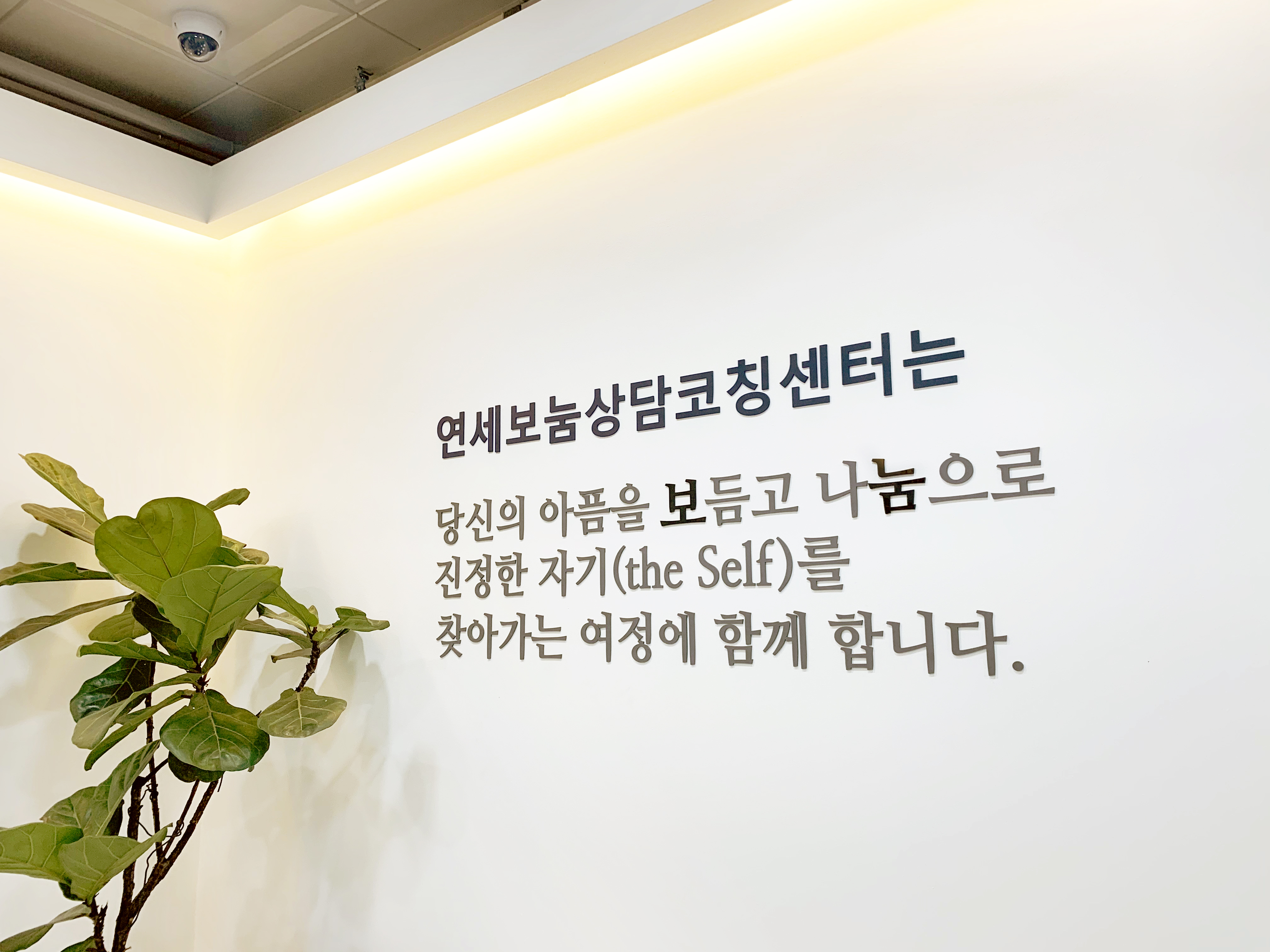 연혁 이미지