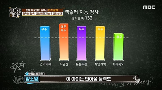 웩슬러 지능 검사